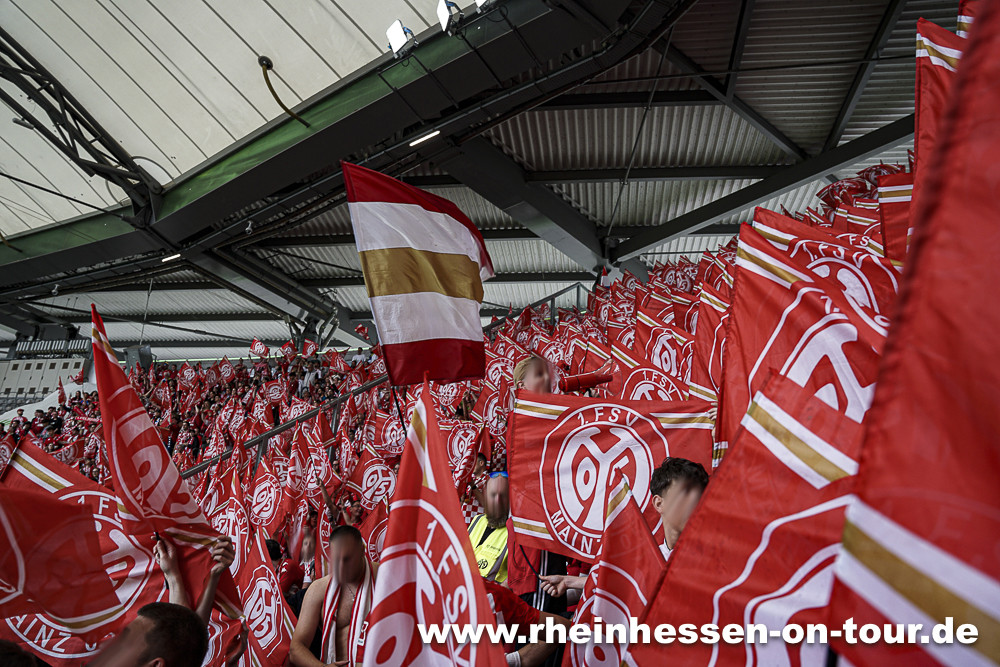 VfL Wolfsburg – 1. FSV Mainz 05 1-3 (34)