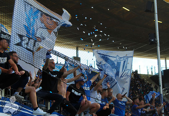 TSG Hoffenheim – FC Bayern München 4-2 (15)