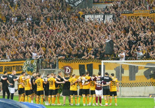 Dynamo Dresden – FC Erzgebirge Aue 2-0 (7)
