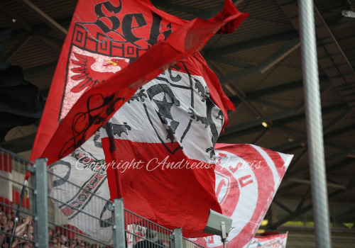 Hallescher FC – VFC Plauen 1-1 (4)