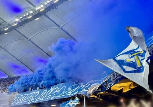 Hamburger SV – Hertha BSC 1-1 (7)