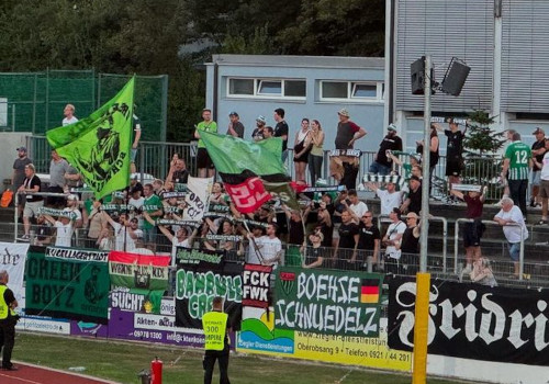 SpVgg Bayreuth – 1. FC Schweinfurt 05 0-1