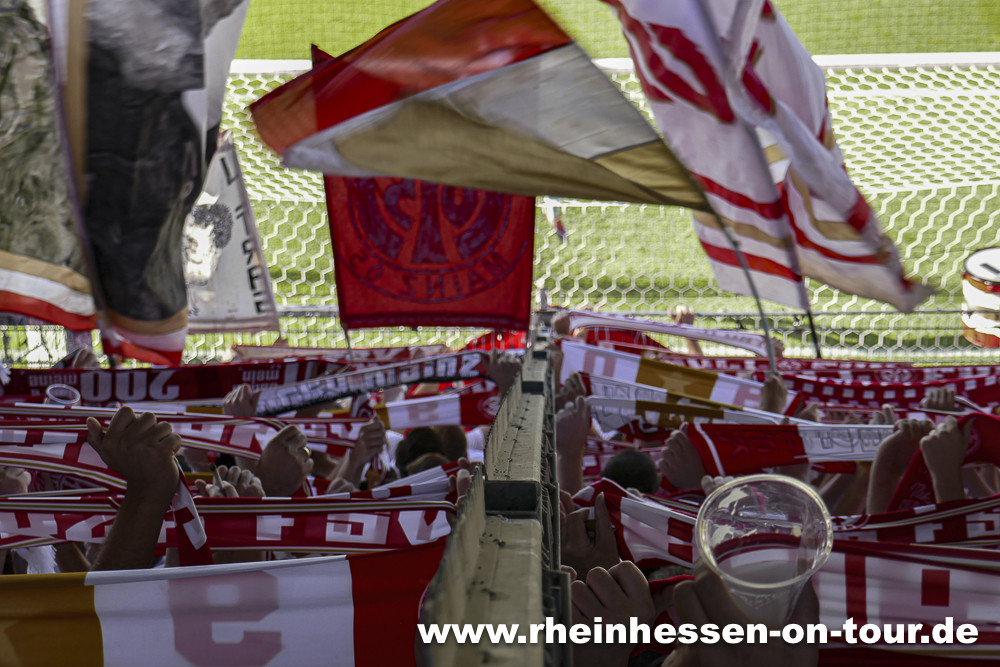 SV Wehen – 1. FSV Mainz 05 1-3 n.V. (4)