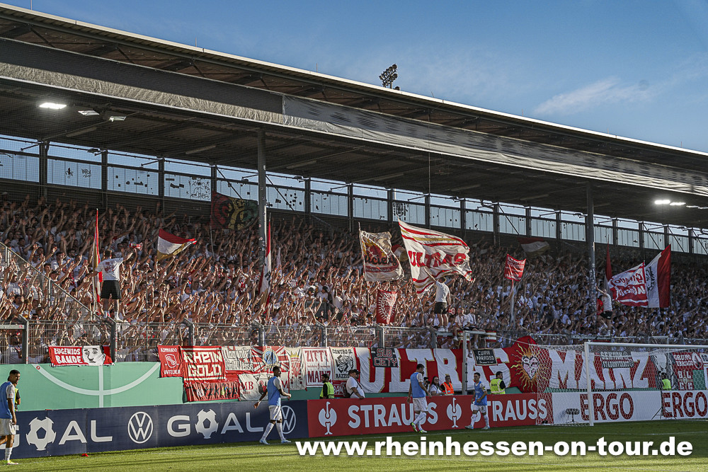 SV Wehen – 1. FSV Mainz 05 1-3 n.V. (8)