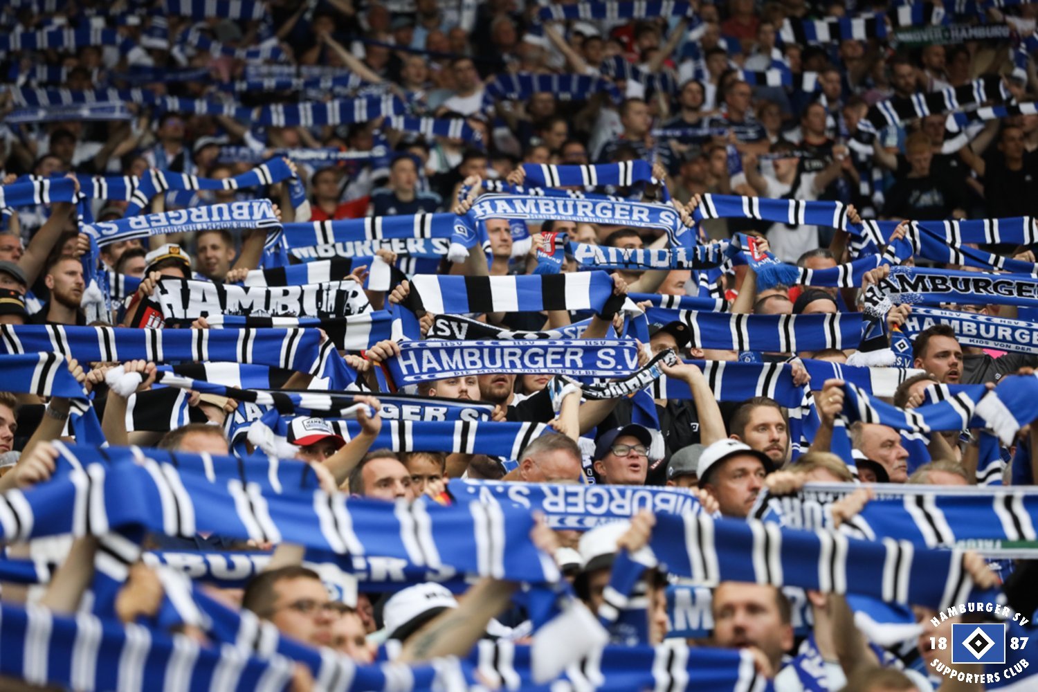 Hannover 96 – Hamburger SV 1-0 (10)
