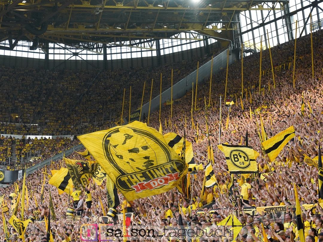Borussia Dortmund – Eintracht Frankfurt 2-0 (12)