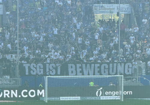 TSG Hoffenheim – Holstein Kiel 3-2 (21)