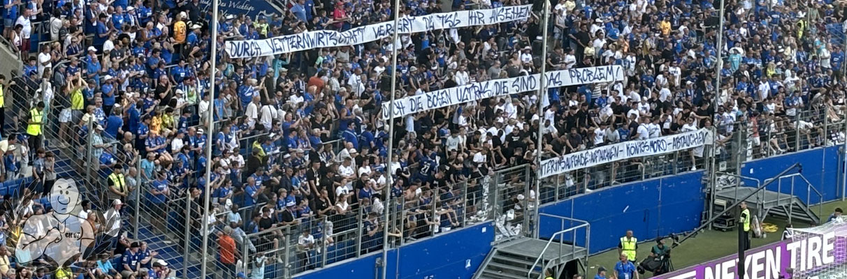 TSG Hoffenheim – Holstein Kiel 3-2 (22)