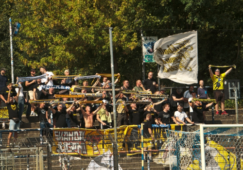 SV Babelsberg 03 – VFC Plauen 2-1