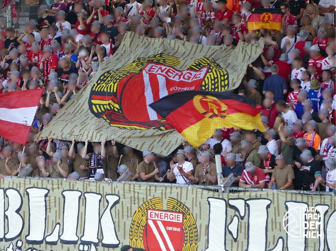 SV Wehen – FC Energie Cottbus 2-1 (8)