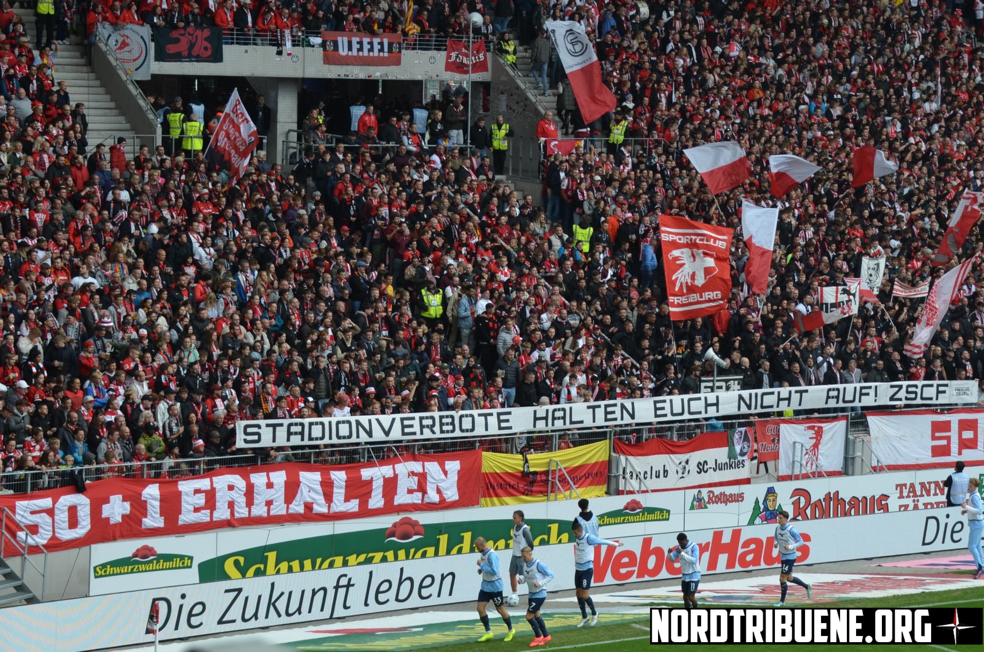 SC Freiburg – VfL Bochum 2-1 (7)