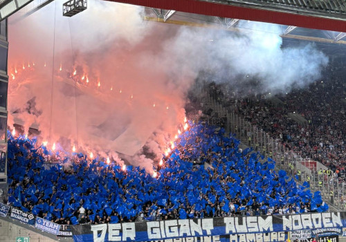 1. FC Kaiserslautern – Hamburger SV 2-2 (32)