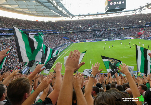 Eintracht Frankfurt – Borussia Mönchengladbach 2-0 (1)