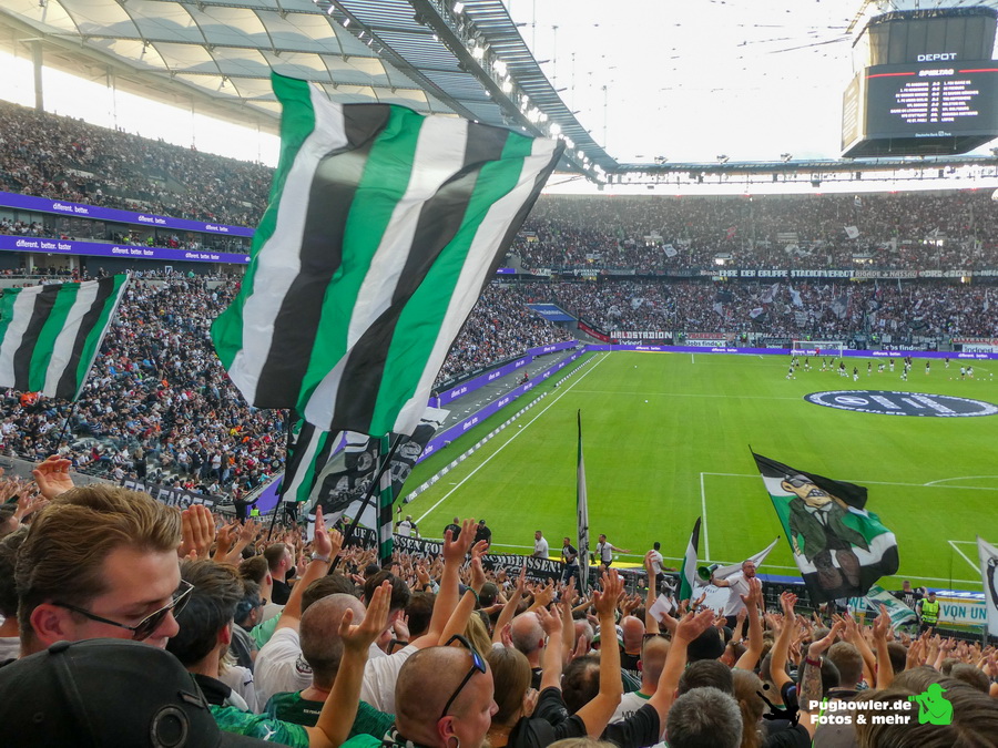 Eintracht Frankfurt – Borussia Mönchengladbach 2-0 (7)