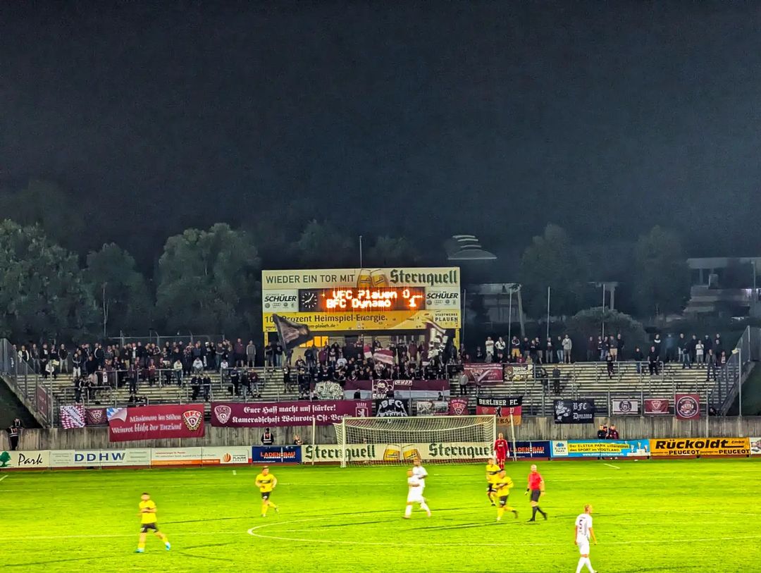 VFC Plauen – Berliner FC Dynamo 1-3 (1)