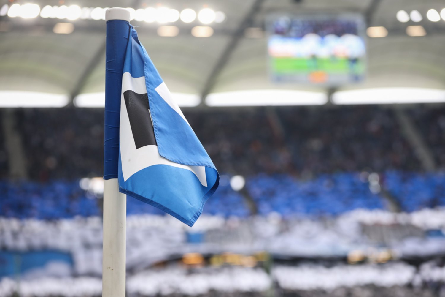 Hamburger SV – SC Paderborn (8)