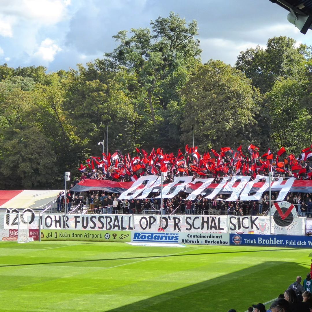 Viktoria Köln – FC Erzgebirge Aue 2-1 (1)