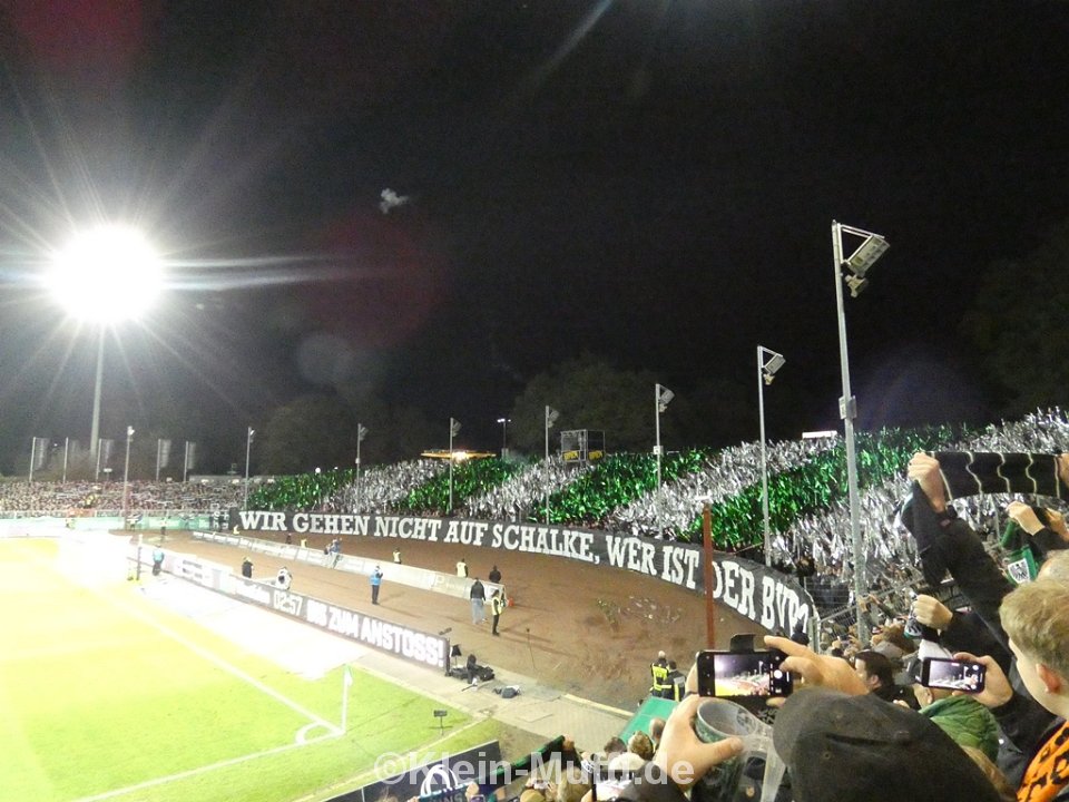 SC Preußen Münster – FC Schalke 04 (1)