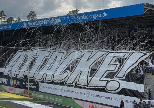 SV Sandhausen – SV Waldhof Mannheim 2-1