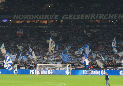 FC Schalke 04 – Hertha BSC 2-2 (2)