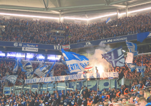 FC Schalke 04 – Hertha BSC 2-2 (2)