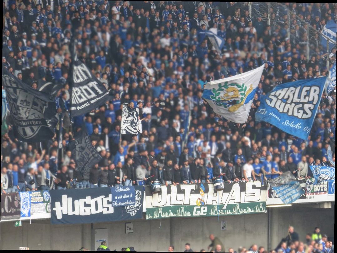 Hannover 96 – FC Schalke 04 1-0 (1)