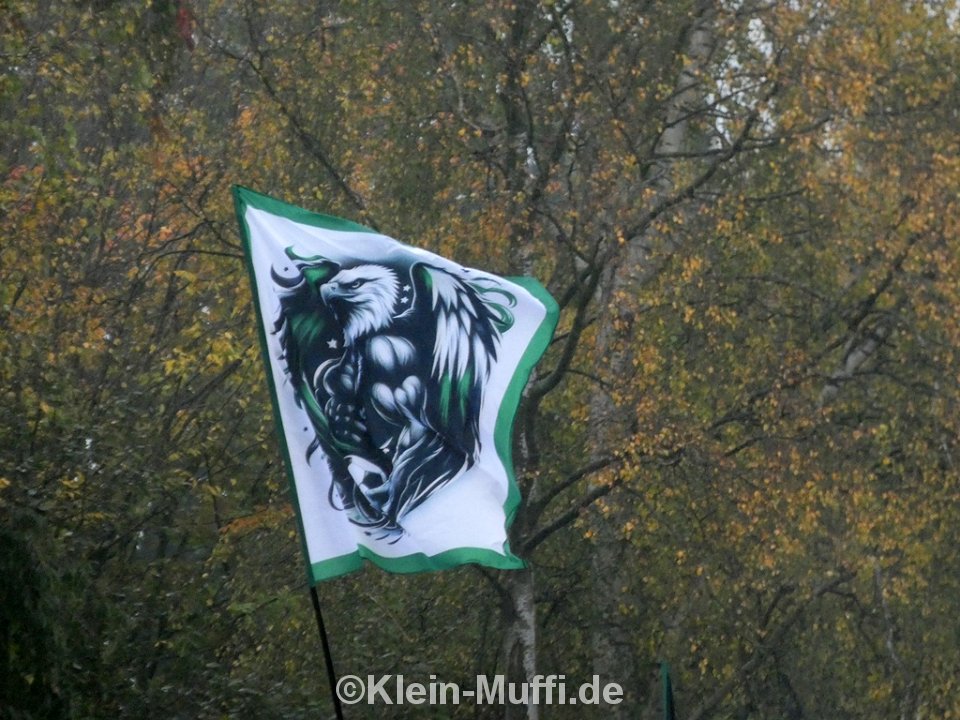 SC Preußen Münster – SV Elversberg 1-1 (12)