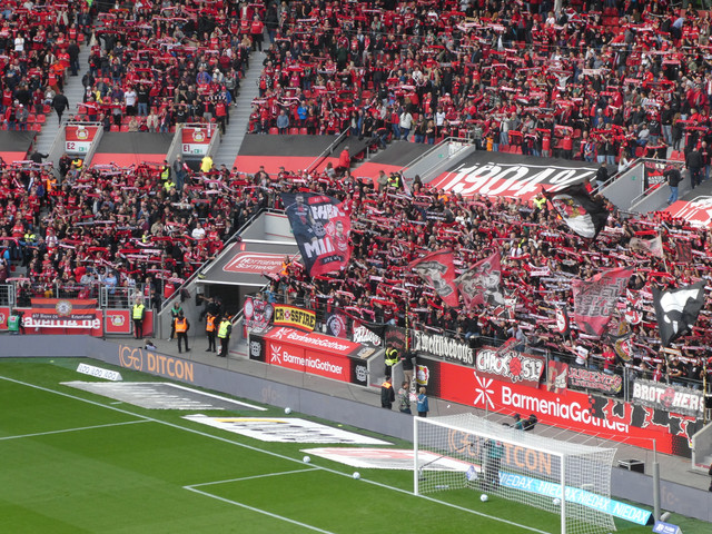 Bayer 04 Leverkusen – Eintracht Frankfurt 2-1 (3)