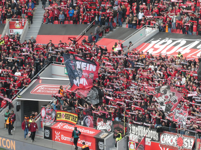 Bayer 04 Leverkusen – Eintracht Frankfurt 2-1 (11)