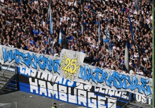 Hamburger SV – 1. FC Magdeburg 3-1 (31)