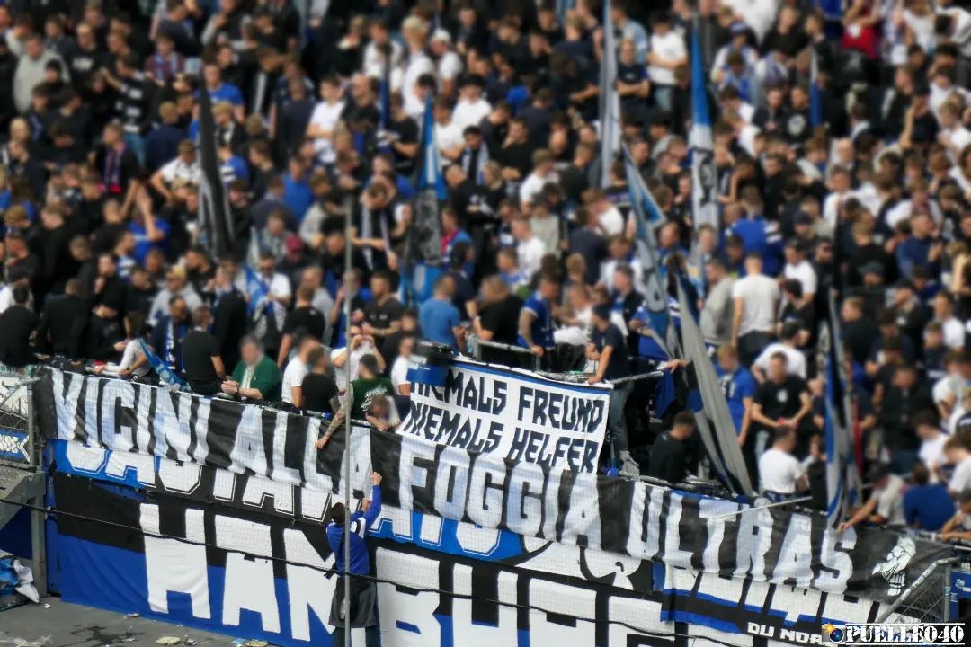 Hamburger SV – 1. FC Magdeburg 3-1 (33)