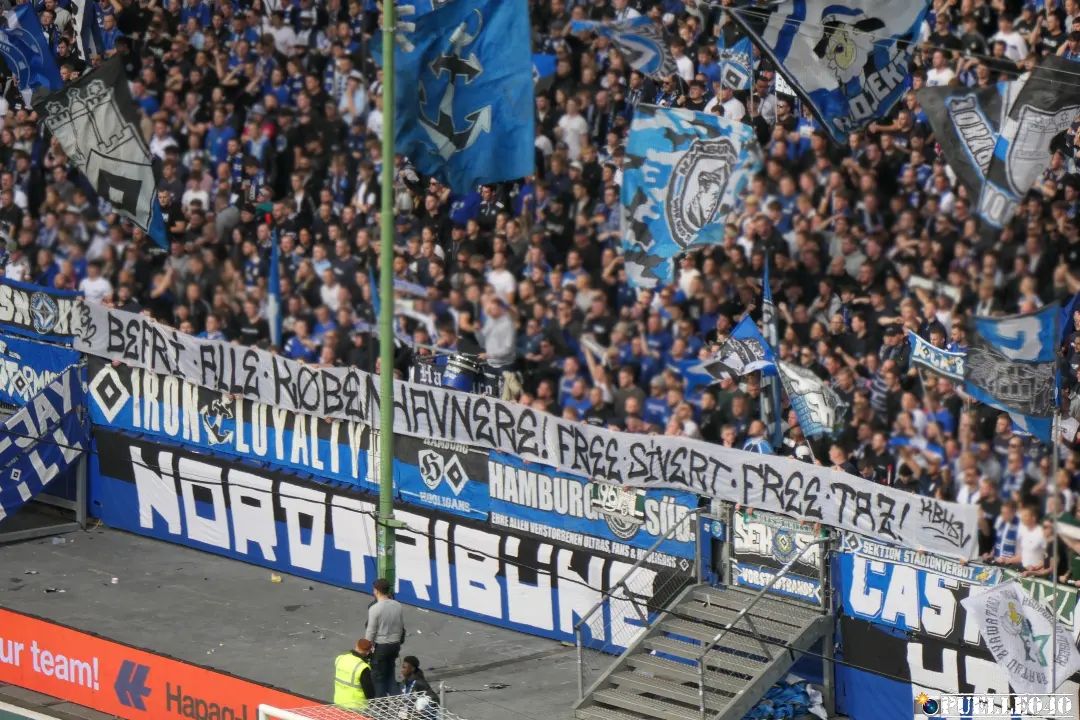Hamburger SV – 1. FC Magdeburg 3-1 (34)