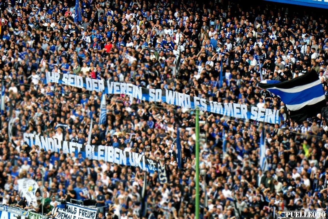 Hamburger SV – 1. FC Magdeburg 3-1 (38)