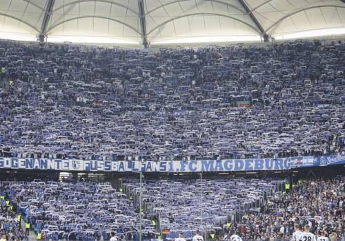 Hamburger SV – 1. FC Magdeburg 3-1 (1)