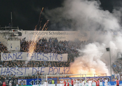 SpVgg Unterhaching – TSV 1860 München 2-2 (10)