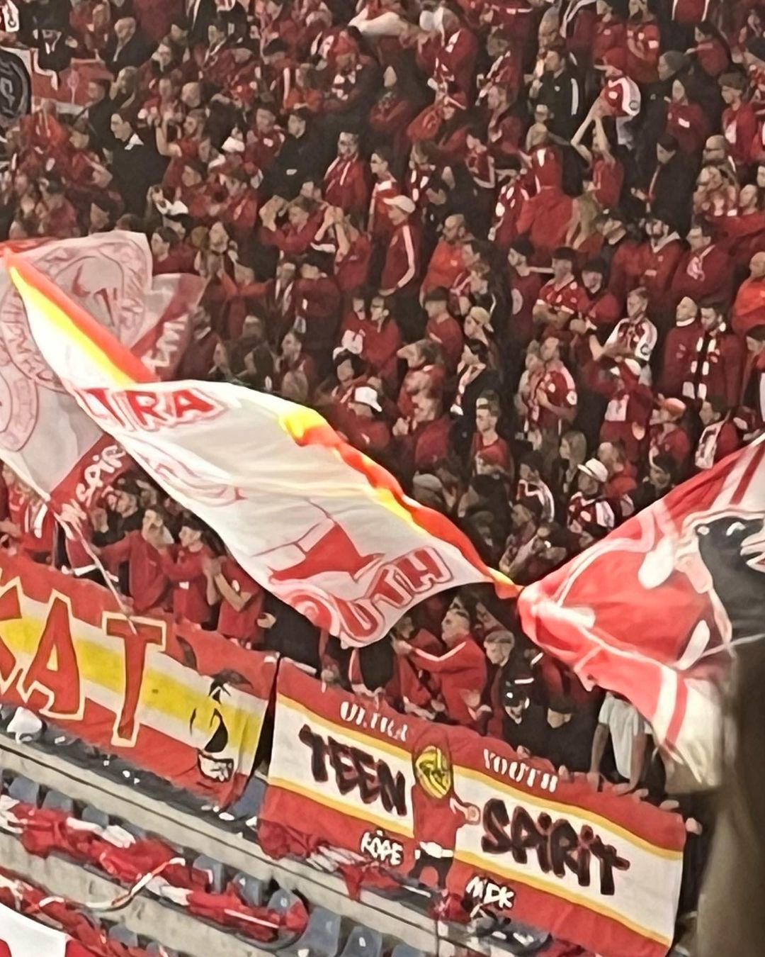 DSC Arminia Bielefeld – 1. FC Union Berlin 2-0 (6)