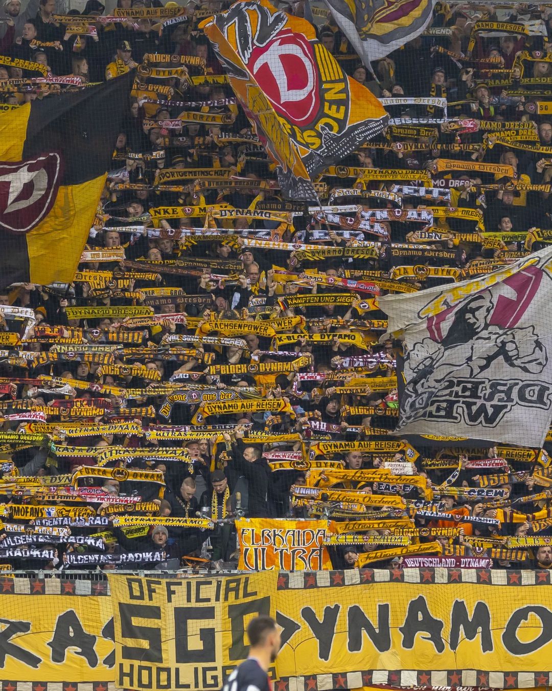 FC Ingolstadt – Dynamo Dresden 1-1 (1)