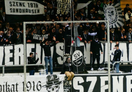 SV Sandhausen – TSV 1860 München 0-3