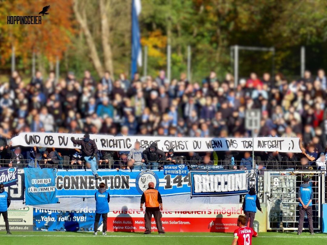 SV Babelsberg 03 – FSV Zwickau 0-2 (5)