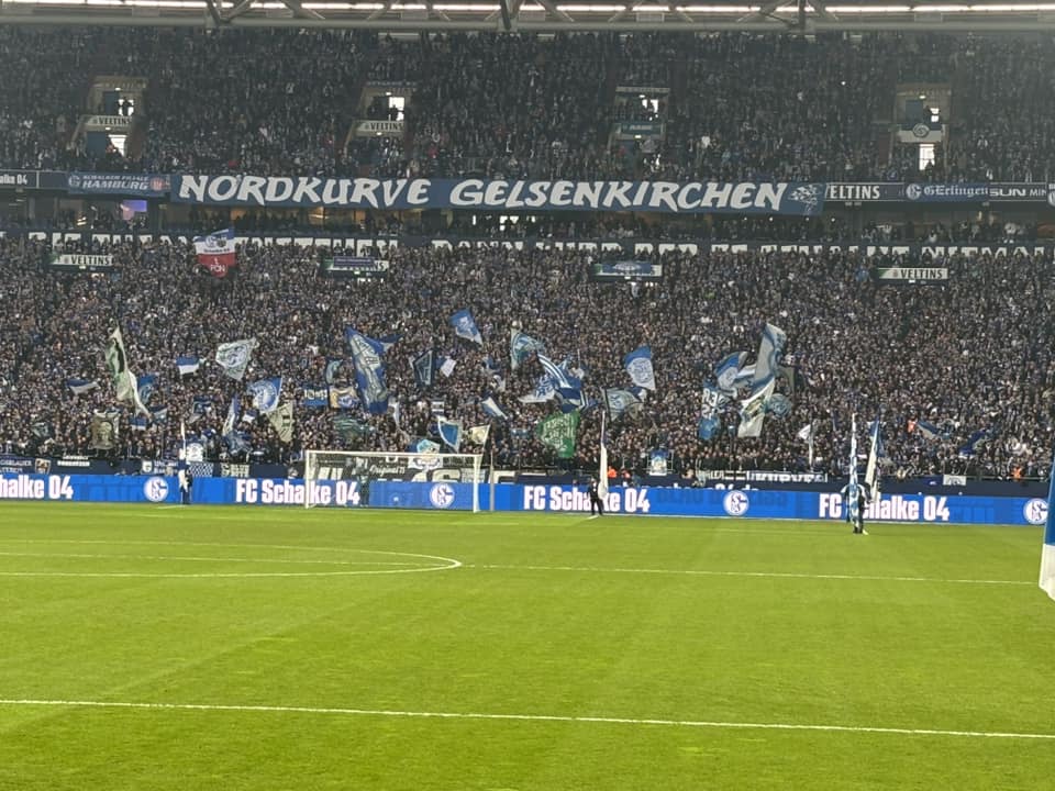 FC Schalke 04 – SSV Jahn Regensburg 2-0 (3)