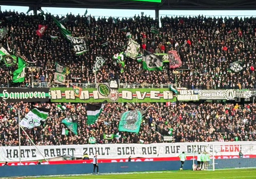 Hannover 96 – SV Darmstadt 98 1-2 (1)