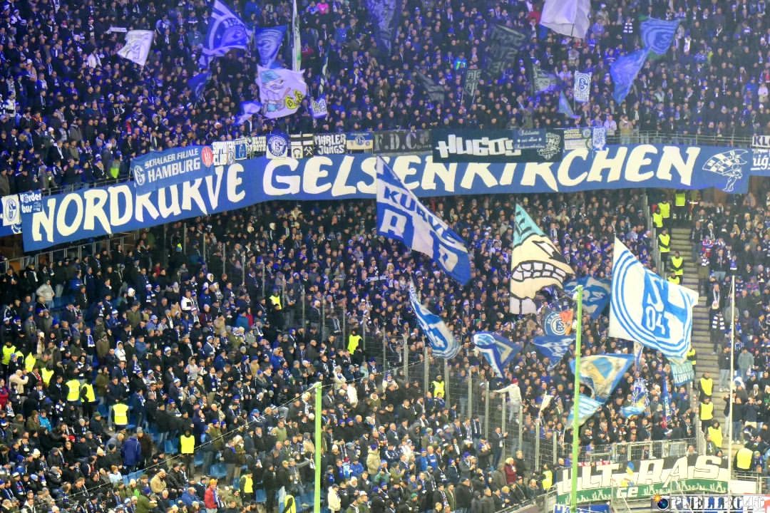 Hamburger SV – FC Schalke 04 2-2