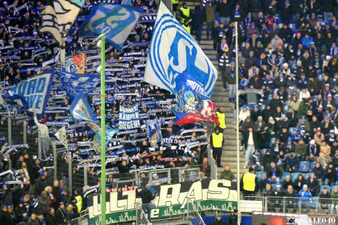 Hamburger SV – FC Schalke 04 2-2 (8)