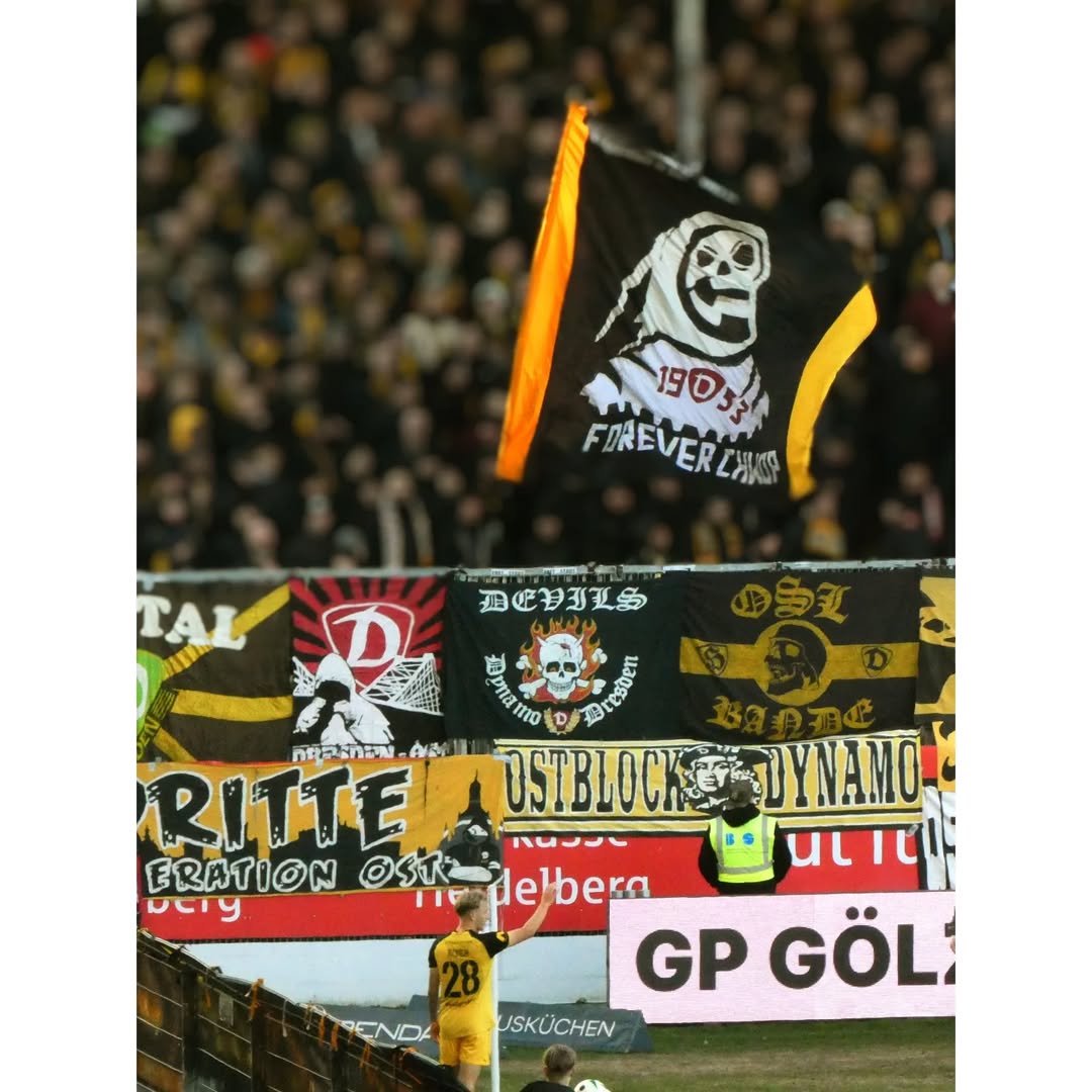 SV Sandhausen – Dynamo Dresden 2-4 (1)