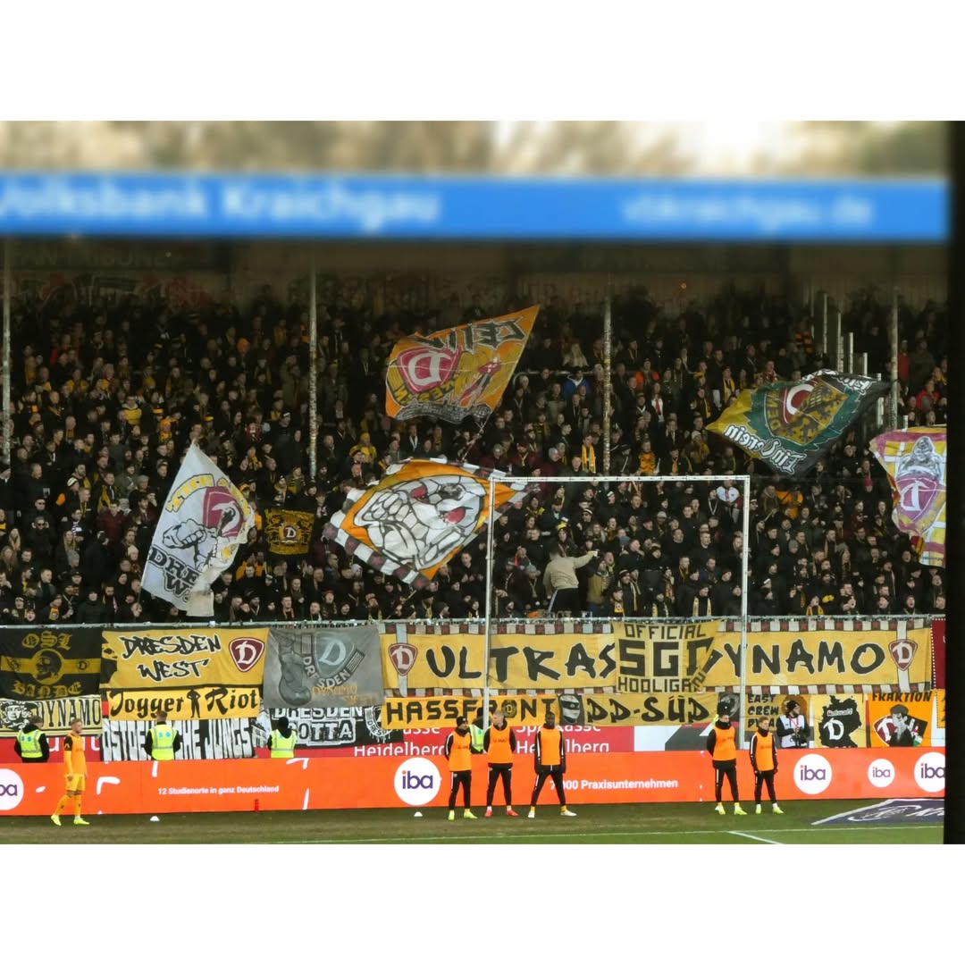 SV Sandhausen – Dynamo Dresden 2-4 (2)