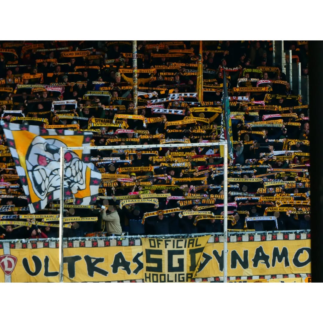 SV Sandhausen – Dynamo Dresden 2-4 (3)