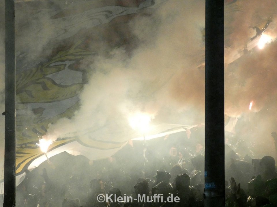 SC Preußen Münster – 1. FC Magdeburg 1-2 (15)