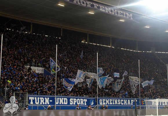 TSG Hoffenheim – SC Freiburg 1-1 (8)