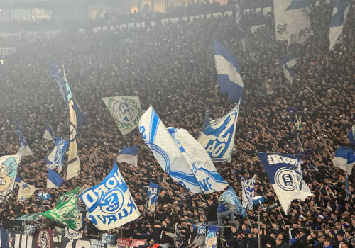 FC Schalke 04 – Fortuna Düsseldorf 1-1 (7)