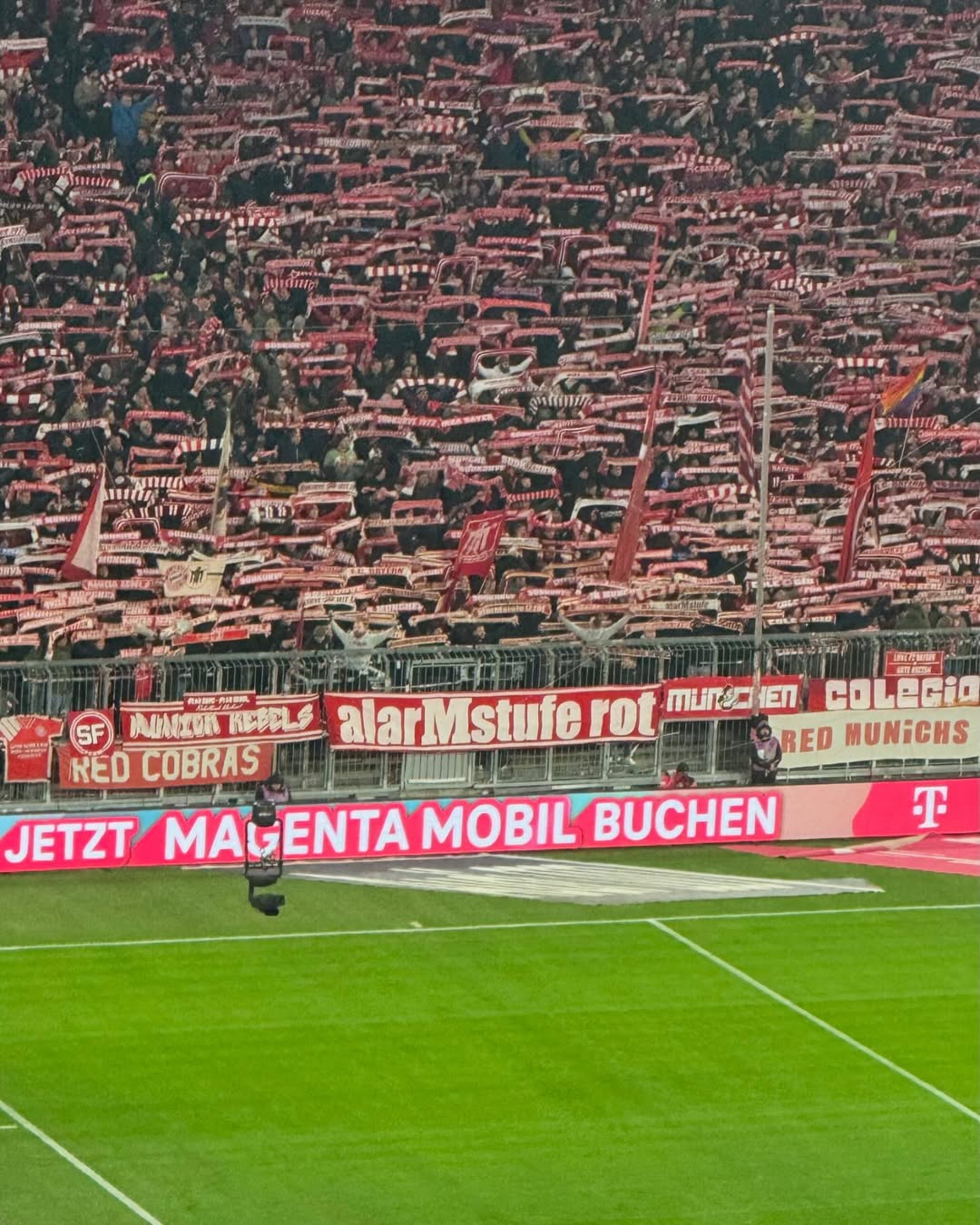 FC Bayern München – Werder Bremen 3-0 (2)
